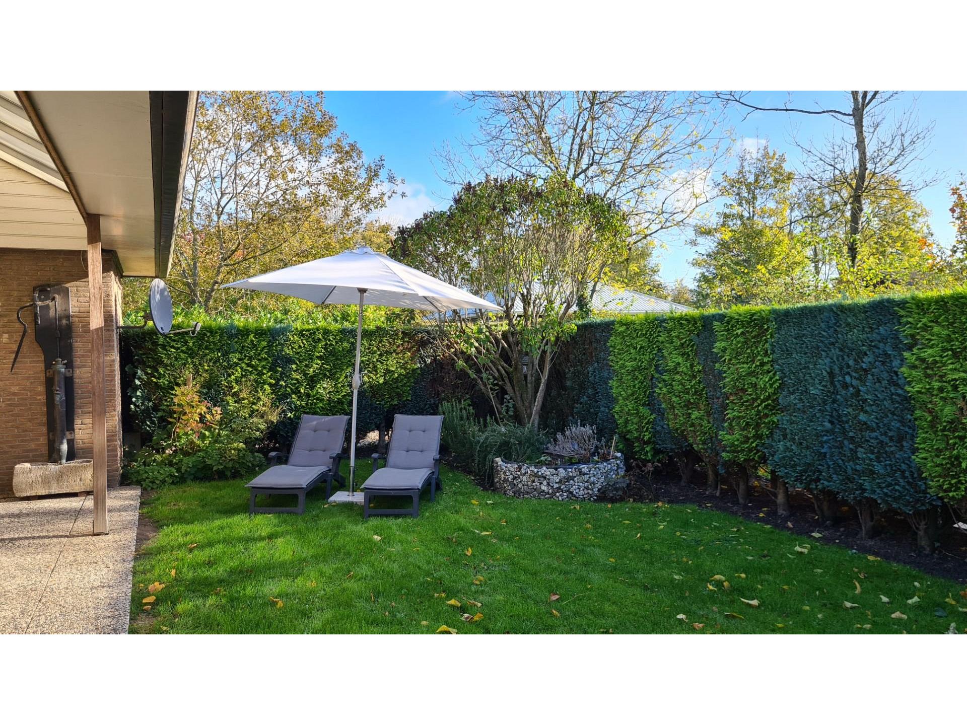 Garten vor Terrasse