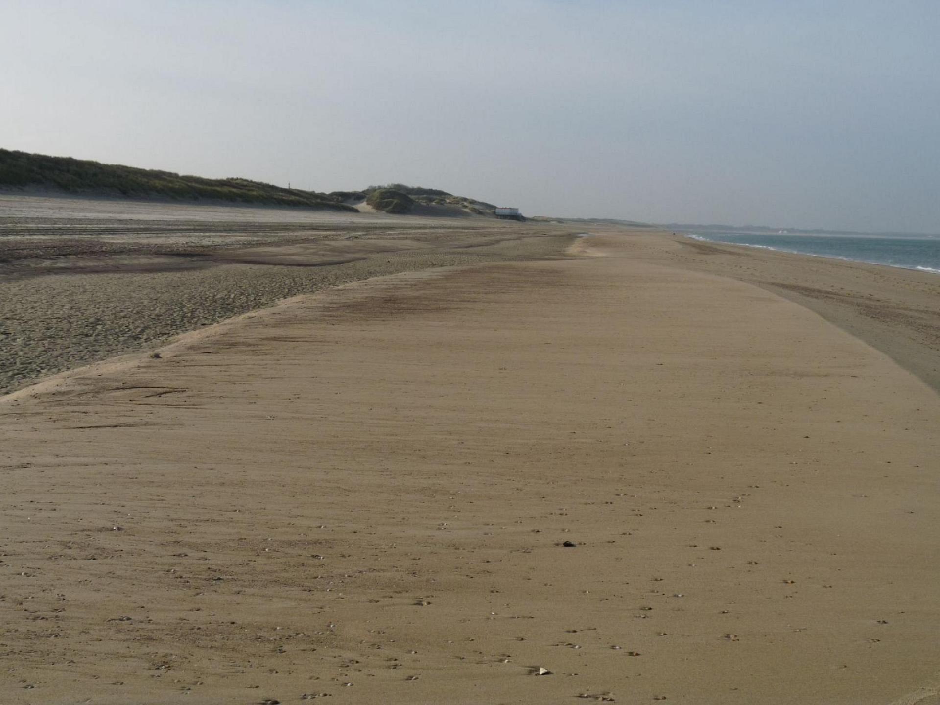 Hundestrand